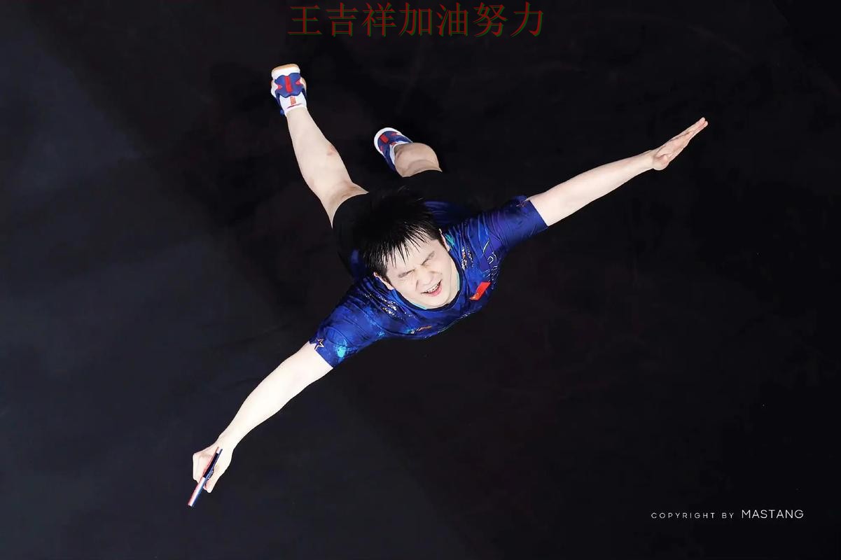 樊振东最新动态引发关注 战术调整效果逐渐显现